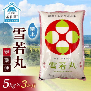 yӂ邳Ɣ[Łz ߘa7NY RY ہyāzi5kgj×3E v15kg  3      uh   k R` R F4B-0692