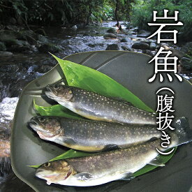 【ふるさと納税】西塚農場産 岩魚冷凍10尾(腹抜き)