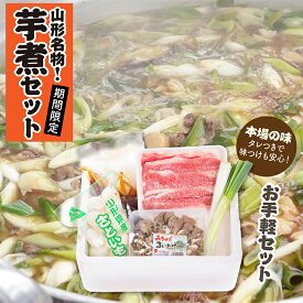 【ふるさと納税】山形名物 芋煮 Aセット (約2〜3人前)