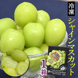 【ふるさと納税】瞬間冷凍 シャインマスカット 1箱