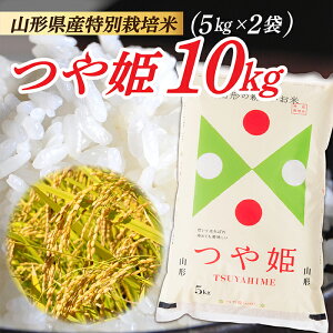 yӂ邳Ɣ[Łzߘa7NY R`Y ʍ͔| P10kg (5kg×2)