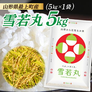 yӂ邳Ɣ[Łzߘa7NY@R`Y  5kg (5kg×1)