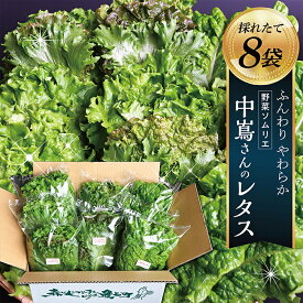 【ふるさと納税】野菜ソムリエ中嶌さんのレタスセット