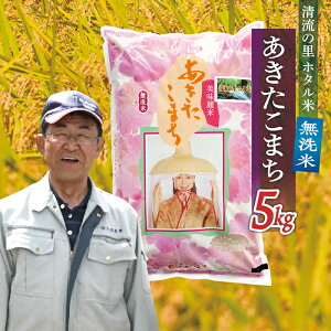 【ふるさと納税】令和7年産 【無洗米】最上町産 あきたこまち 5kg×1袋