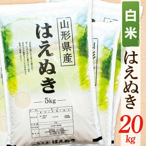 yӂ邳Ɣ[Łzyߘa7NYzyāzR`Y͂ʂ20kg