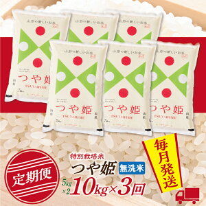 yӂ邳Ɣ[Łzyցzyāz ߘa7NY R`Y P 10kg (5kg×2) 3z