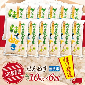 yӂ邳Ɣ[Łzyցzyāzߘa7NY R`Y ͂ʂ 10kg (5kg×2) 6zyR8N1z