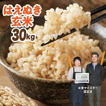 楽天市場】はえぬき 30kg ふるさと納税の通販