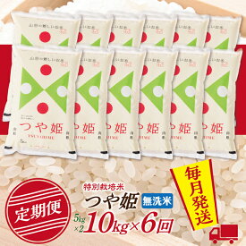 【ふるさと納税】【定期便】【無洗米】令和8年産 山形県産 つや姫 10kg (5kg×2) 6回配送　【初回R9年1月発送】
