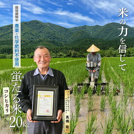 【ふるさと納税】特別栽培米　蛍たる米 コシヒカリ 20kg