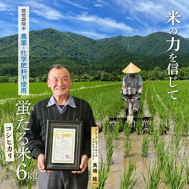 【ふるさと納税】【特別栽培米　蛍たる米 コシヒカリ 6kg
