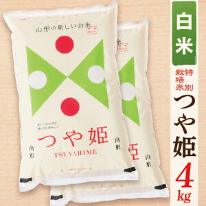 yӂ邳Ɣ[Łzyߘa7NYzyāzR`YP4kg(2kg×2)