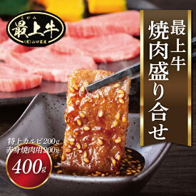 【ふるさと納税】最上牛焼肉盛合せ(特上カルビ200g+赤身焼肉用200g)