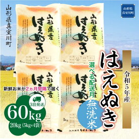 【ふるさと納税】 ＜配送時期が選べて便利な定期便＞令和5年産 真室川町厳選 はえぬき ＜無洗米＞ 60kg（20kg×2カ月ごと3回お届け）