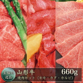 【ふるさと納税】山形牛　焼肉セット（モモ・カタ・カルビ）660g　山形県真室川町