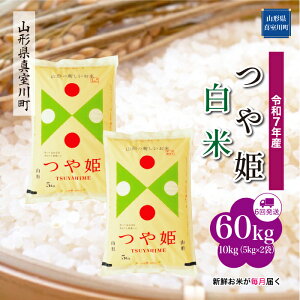 yӂ邳Ɣ[Łz ߘa7NY ^쒬I P mān 60kg ցi10kg×6񂨓͂j