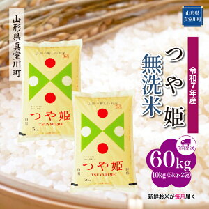 yӂ邳Ɣ[Łz ߘa7NY ^쒬I P mān 60kg ցi10kg×6񂨓͂j