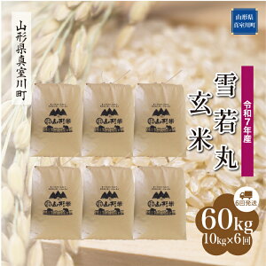 yӂ邳Ɣ[Łz ߘa7NY ^쒬I  mān 60kg ցi10kg×6񂨓͂j