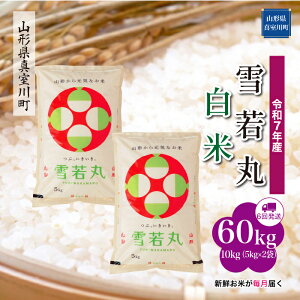 yӂ邳Ɣ[Łzߘa7NY ^쒬I  mān 60kg ցi10kg×6񂨓͂j