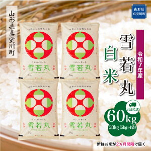 yӂ邳Ɣ[Łz ߘa7NY ^쒬I  mān 60kg ցi20kg×3񂨓͂j