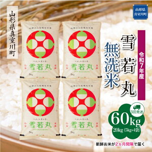 yӂ邳Ɣ[Łz ߘa7NY ^쒬I  mān 60kg ցi20kg×3񂨓͂j