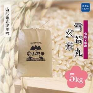 yӂ邳Ɣ[Łzߘa7NY ^쒬I  mān 5kgi5kg×1܁j