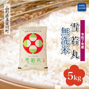 yӂ邳Ɣ[Łz ߘa7NY ^쒬I  mān 5kgi5kg×1܁j