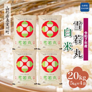 yӂ邳Ɣ[Łz ߘa7NY ^쒬I  mān 20kgi5kg×4܁j