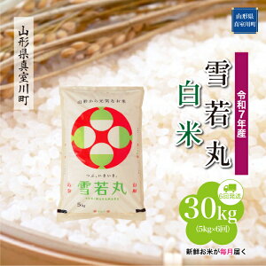 yӂ邳Ɣ[Łzߘa7NY ^쒬I  mān 30kg ցi5kg×6񂨓͂j