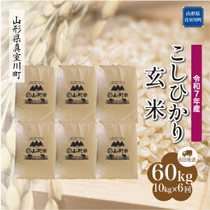 yӂ邳Ɣ[Łzߘa7NY ^쒬I RVqJ mān 60kg ցi10kg×6񂨓͂j