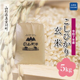 【ふるさと納税】令和7年産 真室川町厳選 コシヒカリ ［玄米］ 5kg（5kg×1袋）