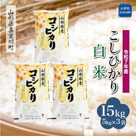 【ふるさと納税】 令和7年産 真室川町厳選 コシヒカリ ［白米］ 15kg（5kg×3袋）
