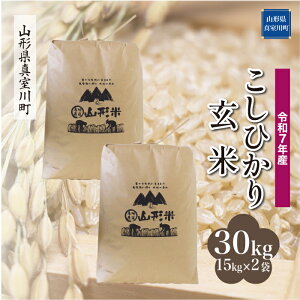 yӂ邳Ɣ[Łzߘa7NY ^쒬I RVqJ mān 30kgi15kg×2܁jꌧEs