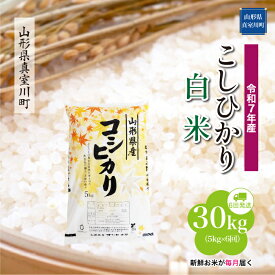 【ふるさと納税】 令和7年産 真室川町厳選 コシヒカリ ［白米］ 30kg 定期便（5kg×6回お届け）