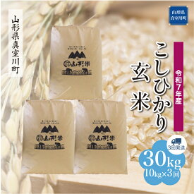 【ふるさと納税】令和7年産 真室川町厳選 コシヒカリ ［玄米］ 30kg 定期便（10kg×3回お届け）