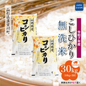 【ふるさと納税】 令和7年産 真室川町厳選 コシヒカリ ［無洗米］ 30kg 定期便（10kg×3回お届け）