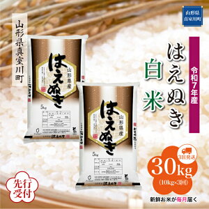 yӂ邳Ɣ[Łz st ߘa7NY ^쒬I ͂ʂ mān 30kg ցi10kg×3񂨓͂j