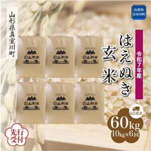 yӂ邳Ɣ[Łz st ߘa7NY ^쒬I ͂ʂ mān 60kg ցi10kg×6񂨓͂j