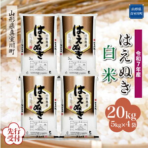 yӂ邳Ɣ[Łz st ߘa7NY ^쒬I ͂ʂ mān 20kgi5kg×4܁j