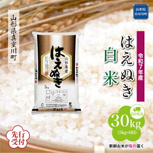 yӂ邳Ɣ[Łz st ߘa7NY ^쒬I ͂ʂ mān 30kg ցi5kg×6񂨓͂j