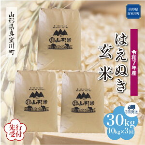 yӂ邳Ɣ[Łz st ߘa7NY ^쒬I ͂ʂ mān 30kg ցi10kg×3񂨓͂j