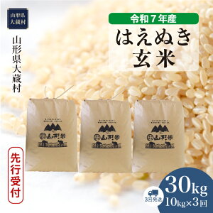 yӂ邳Ɣ[Łzߘa7NYĐst 呠 ͂ʂ ā 30kg ցi10kg×3񂨓͂j