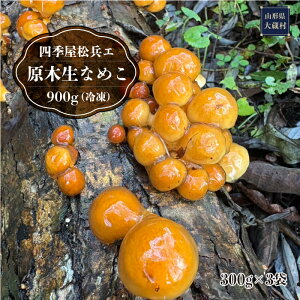 yӂ邳Ɣ[ŁzlGG@ؐȂ߂ 900g (Ⓚ)