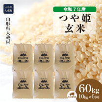 楽天市場】玄米 60k（食品）の通販
