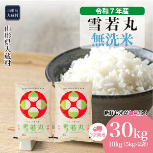 yӂ邳Ɣ[Łzߘa7NYā 呠  ā 30kgցi10kg×3񂨓͂j