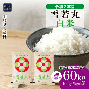 yӂ邳Ɣ[Łzߘa7NYā 呠  ā 60kgցi10kg×6񂨓͂j