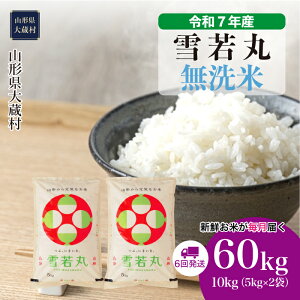 yӂ邳Ɣ[Łzߘa7NYā 呠  ā 60kgցi10kg×6񂨓͂j