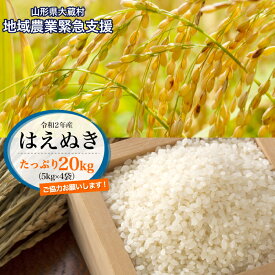 楽天市場 ふるさと納税 米 kgの通販