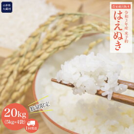 楽天市場 ふるさと納税 米 kg はえぬきの通販