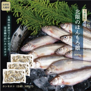 yӂ邳Ɣ[Łz呠Yuk̂ق떺v900gioj